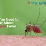 All You Need to Know About Dengue Fever