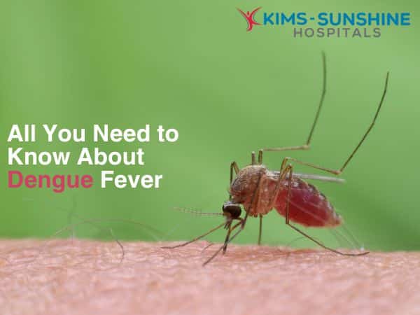 All You Need to Know About Dengue Fever