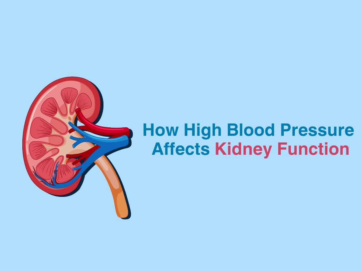 How High Blood Pressure Affects Kidney Function