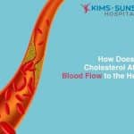 How Does Bad Cholesterol Affect Blood Flow to the Heart?