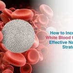 How to Increase White Blood Cells: Effective Natural Strategies