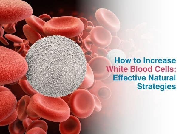 How to Increase White Blood Cells: Effective Natural Strategies